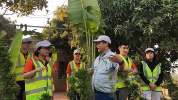 Đại Học FPT cho hàng trăm sinh viên bảo lưu để đi làm