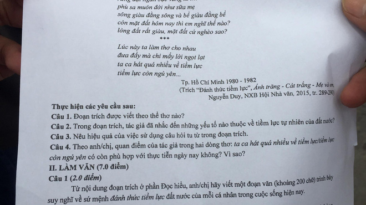 [HOT] Gợi ý giải đề thi THPT Quốc gia môn Ngữ Văn