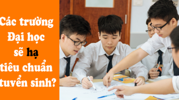 Các trường Đại học sẽ hạ tiêu chuẩn tuyển sinh?