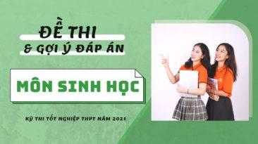 Gợi ý đáp án đề thi môn Sinh học kỳ thi Tốt nghiệp THPT 2021 (24 mã đề)