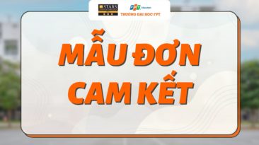 Mẫu đơn cam kết