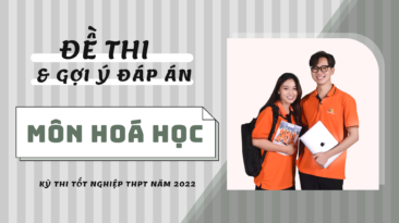 Gợi ý đáp án đề thi môn Hoá học kỳ thi Tốt nghiệp THPT 2022 (24 mã đề)