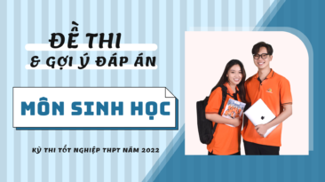 Gợi ý đáp án đề thi môn Sinh học kỳ thi Tốt nghiệp THPT 2022 (24 mã đề)