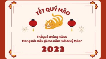 Thầy cô chúng mình mong ước điều gì cho năm mới Quý Mão 2023?