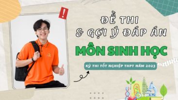 Đề thi và gợi ý đáp án môn Sinh học kỳ thi Tốt nghiệp THPT 2023 (24 mã đề)