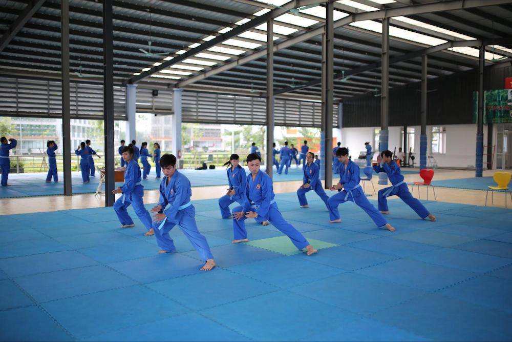 Môn võ Vovinam là một môn học chính để giáo dục thể chất cho sinh viên