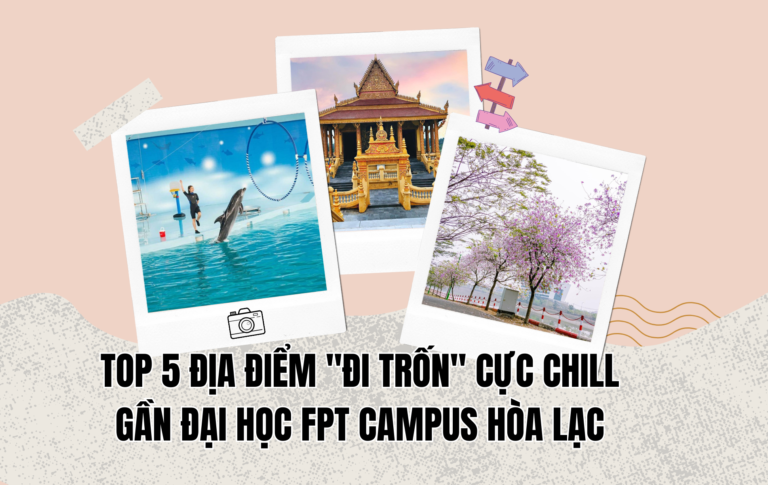 Top 5 địa điểm 